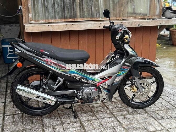 Siỉius kiểng 2024 chính chủ máy rin