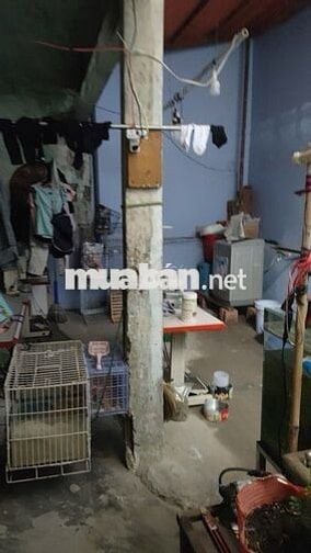 Trịnh Đình Trọng 79m² ngang 4m, hẻm 3m – Phú Trung – 6.05 tỷ
