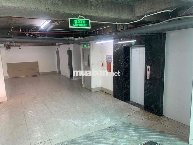 Toà Nhà 1 Hầm 6 Tầng ST MT Đặng Văn Bi|8x35|1.250m2 sàn|Thang máy PCCC