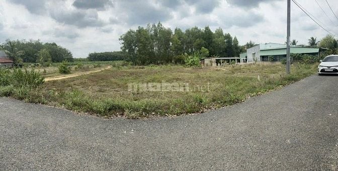 Bán gấp 3 mẫu đất xã Thạnh Bình, Tân Biên, Tây Ninh, 12x200m, 3tỷ800