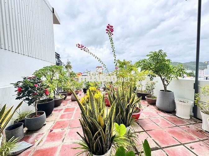 DT Cho thuê nhà phía bắc Nha Trang