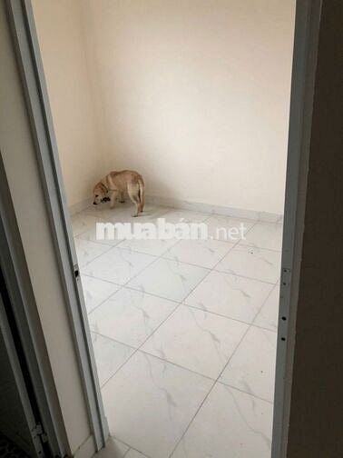 Cho thuê nhà 1T1L 4PN gần chợ Hưng Long