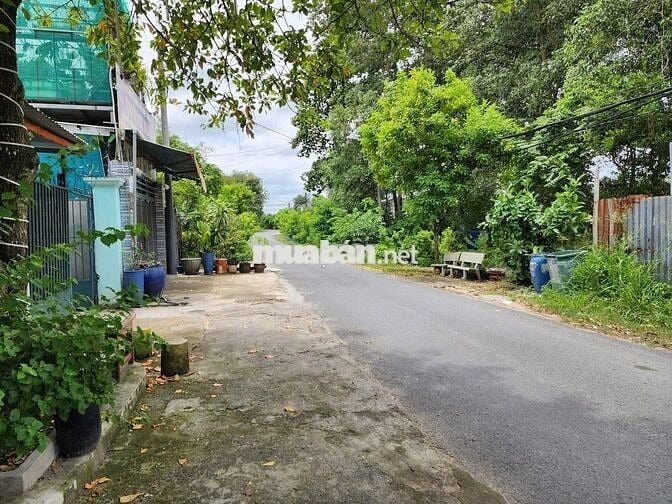 530 Triệu có ngay lô đất đẹp 240m2 An Đước An Tịnh Trảng Bàng Tây Ninh