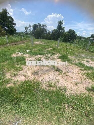 ĐẤT NỀN 5X44 GIÁ 950TR (THƯƠNG LƯỢNG) Ở THỊ XÃTRẢNG BÀNG