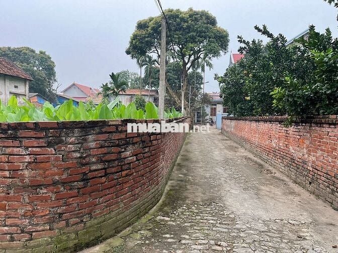BÁN LÔ GÓC 970M2 - DUYÊN YẾT PHÚ XUYÊN, HÀ NỘI _ PHÂN LÔ CỰC ĐẸP