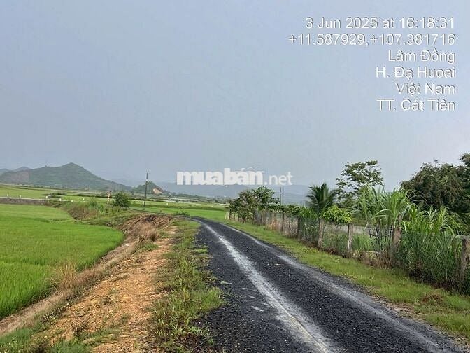 Đất vuông vức, có sẵn thổ cư, sổ hồng ri��ng chính chủ