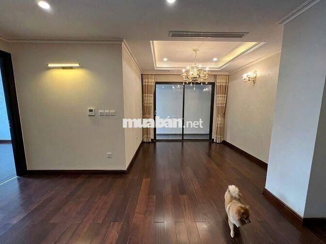 HC GOLDEN-  72M2- Đồ Cơ bản  - Chỉ 12Tr