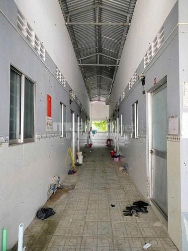 Sang gấp dãy trọ 13 phòng Ngay Tân Thông Hội, Củ CHi, 1 tỷ 050, SHR