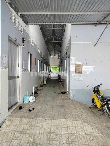 Sang gấp dãy trọ 13 phòng Ngay Tân Thông Hội, Củ CHi, 1 tỷ 050, SHR