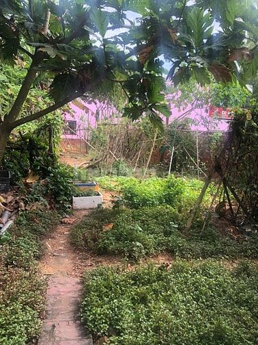 Nhà cho thuê nguyên căn,mặt tiền đường Dương đông-bắc đảo, Phú Quốc