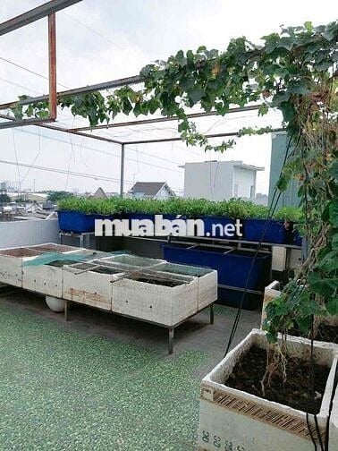 BÌNH CHUẨN – NHÀ 102M2 (5x20) – 1 TRỆT 3 LẦU– GIÁ TỐT 4 ĐỒNG TL