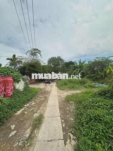 240M2 ĐẤT PHÚ DIỄN, 2 ÔTÔ TRÁNH PHÙ HỢP LÀM KHO XƯỞNG HOẶC Ở 2,8 TỶ