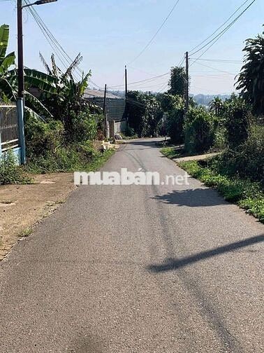 Nhà vườn nghĩ dưỡng sẵn thổ cư Lộc Tiến_ Bảo Lộc