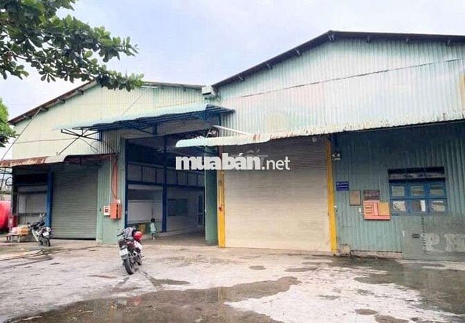 CHO  THUÊ  KHO  XƯỞNG ( 2.000 m2 ) XÃ NHỊ BÌNH.  HÓC MÔN
