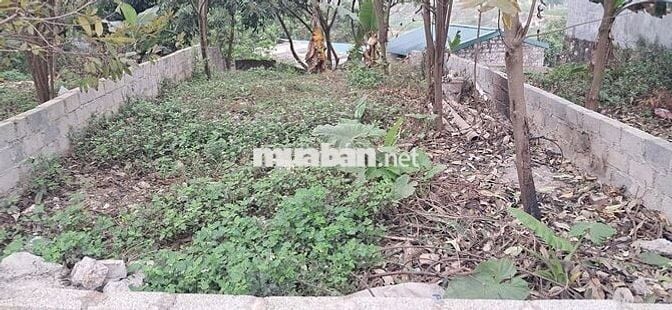 đất chính chủ văn phòng em bán