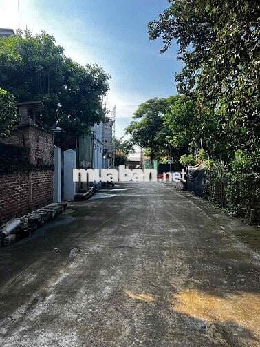 81m full thổ, 🎉🎉 Ở Chợ Trường Yên  ✅ Cách chợ trường yên chỉ 20m đi bộ