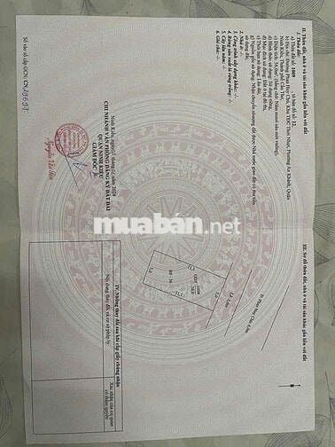 MẶT TIỀN PHAN HUY CHÚ P TÂN AN GẦN ĐẠI HỌC Y DƯỢC