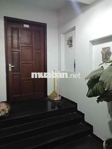 Bán CHDV 80m2 5 tầng, đường Lưu Chí Hiếu, Tây Thạnh, Tân Phú.