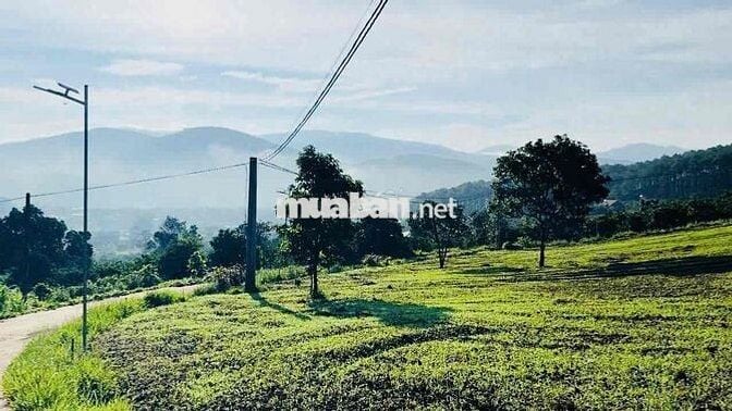 Đất vùng ven Đà Lạt từ 600 triệu - 1 tỷ 350 triệu
