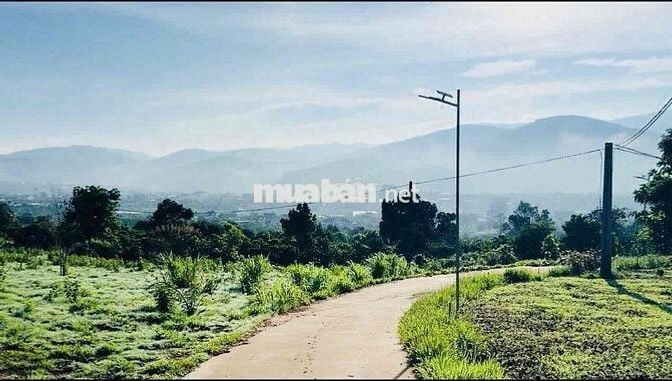 Đất vùng ven Đà Lạt từ 600 triệu - 1 tỷ 350 triệu