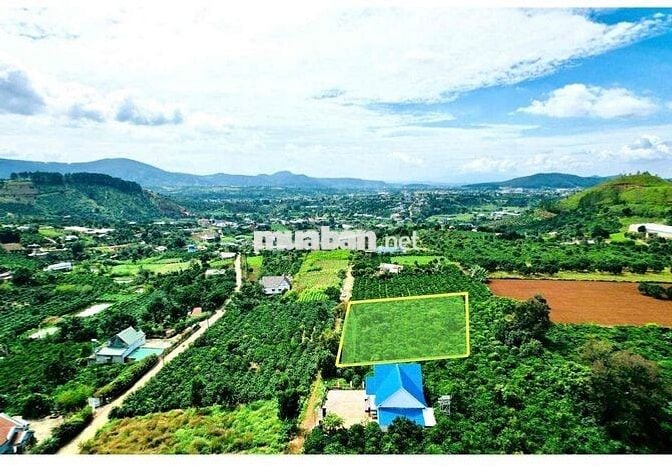 Đất vùng ven Đà Lạt từ 600 triệu - 1 tỷ 350 triệu