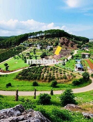 Đất vùng ven Đà Lạt từ 600 triệu - 1 tỷ 350 triệu