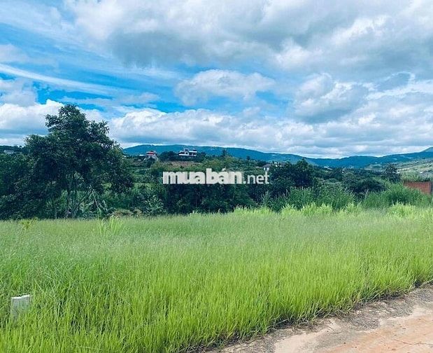 Đất vùng ven Đà Lạt từ 600 triệu - 1 tỷ 350 triệu