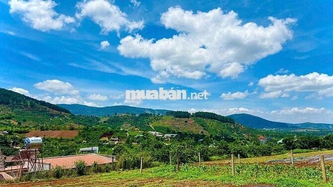 Đất vùng ven Đà Lạt từ 600 triệu - 1 tỷ 350 triệu