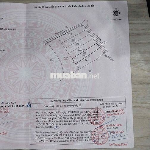Đất vùng ven Đà Lạt từ 600 triệu - 1 tỷ 350 triệu