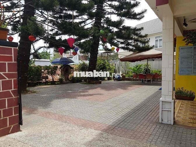 Cho thuê nhà đất 301m2 đang kinh doanh