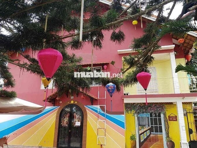 Cho thuê nhà đất 301m2 đang kinh doanh