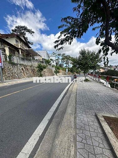 Cho thuê nhà đất 301m2 đang kinh doanh