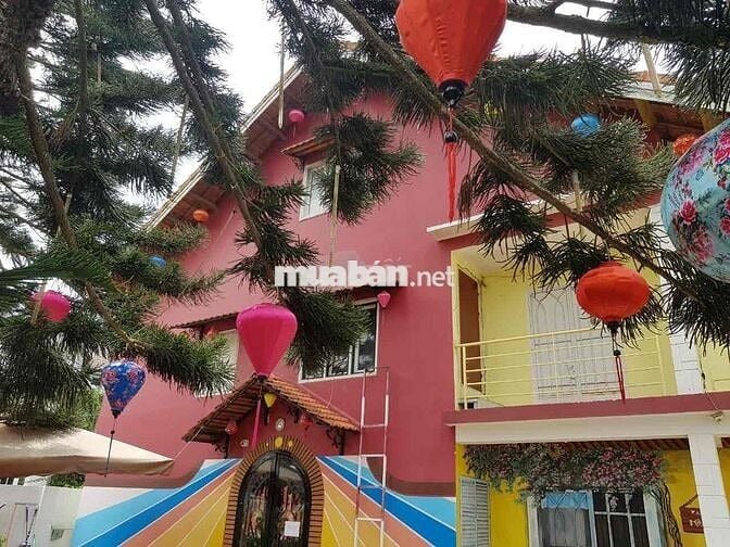 Cho thuê nhà đất 301m2 đang kinh doanh