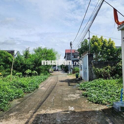 Bán đất Trảng Dài sổ riêng, thổ cư, 5x20 gần cafe Tím giá 1ty6 có TL