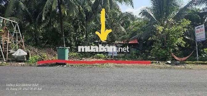 ĐẤT MẶT TIỀN HƯNG ĐỊNH 11 ,P THUẬN AN ,TP HCM