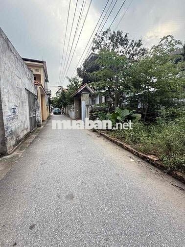 💎 ĐẦU TƯ NGAY – ĐẤT KIÊU KỴ 100M² SÁT VINHOMES OCEAN PARK 3 – GIÁ CỰC