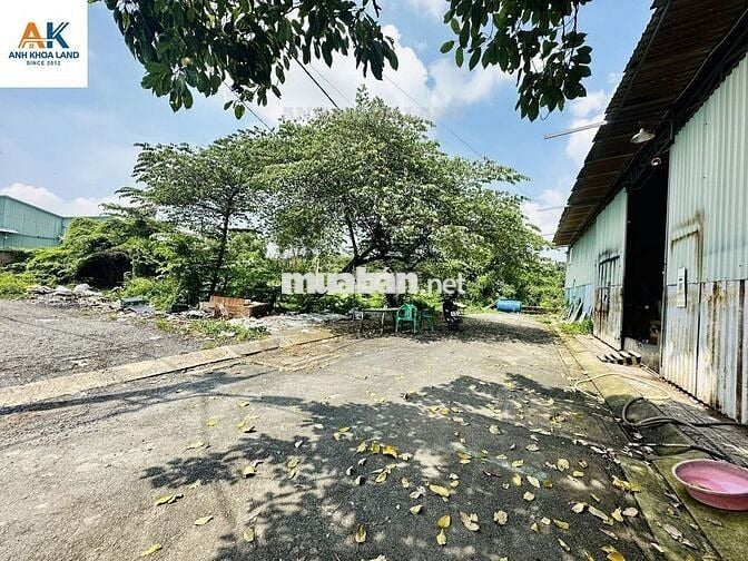 BÁN ĐẤT HẺM ĐƯỜNG LÝ TẾ XUYÊN - PHƯỜNG LINH ĐÔNG - 100M²