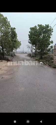 bán 95m² LK3 - 104 đất đấu giá Hào Xuyên, Tân Lập, Yên Mỹ, Hưng Yên.