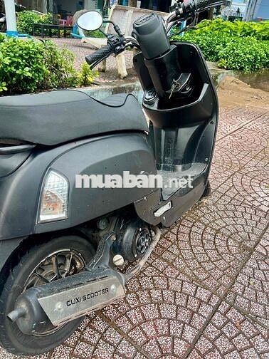 Yamaha Cuxi Fi dọn kiểng đẹp