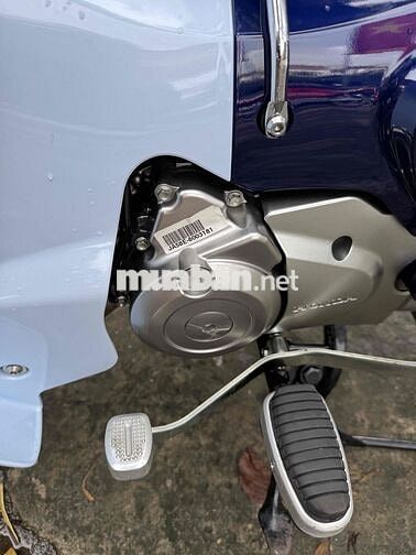 honda cup 125 màu xanh 2022