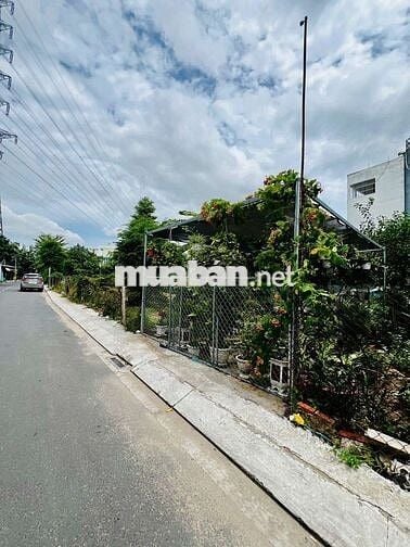 Cặp đất 8,3m x 27m. 225m2 Mặt tiền Đường Tân Chánh Hiệp 07