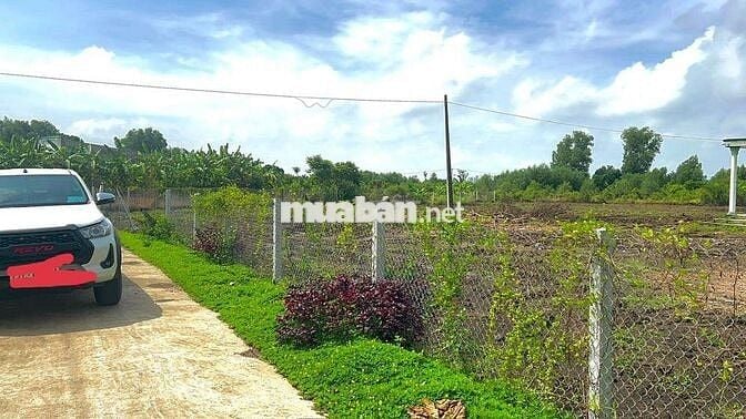 Đất mặt tiền đường Phú Hòa, Định Quán 1105m2.