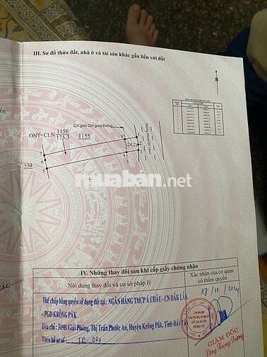 Cần bán đất thổ cư 175m2 trung tâm khu dân cư huyện Krông Pắc