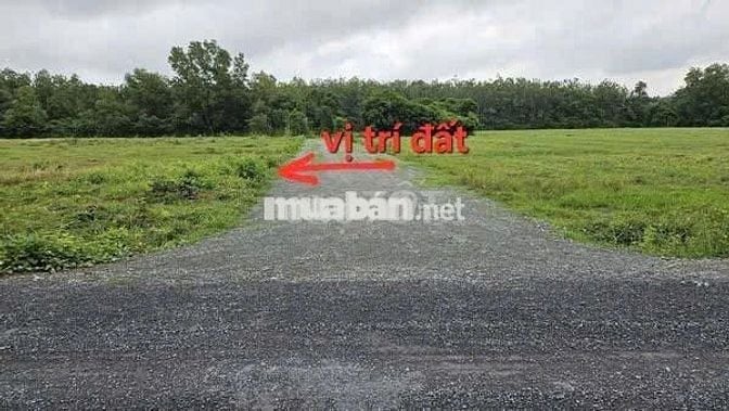 114m2 full thổ cư.  Đón sóng KCN Hiệp Thạnh. chỉ  400 tr