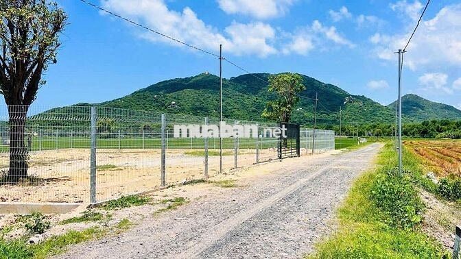 Mặt tiền đường view đẹp, gâng biển siêu mát cho anh chị nghỉ dưỡng