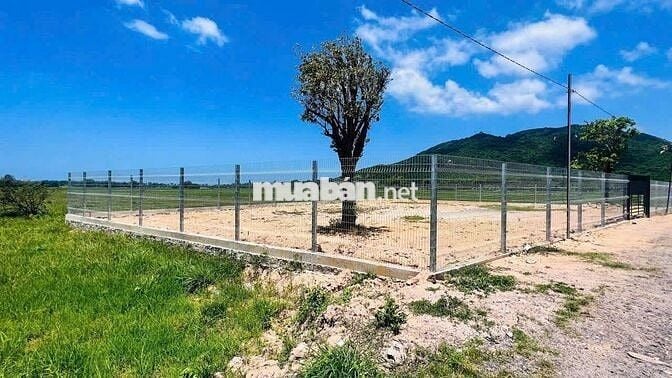 Mặt tiền đường view đẹp, gâng biển siêu mát cho anh chị nghỉ dưỡng