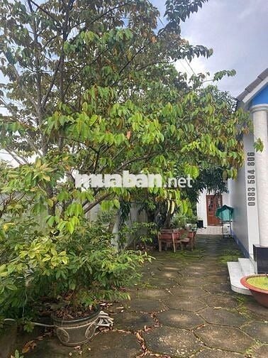 Bán gấp nhà mái thái Bình Chánh 200m2 có thổ cư, sổ riêng chỉ 780tr