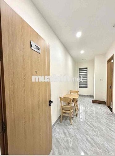 Cho thuê căn hộ 1 PN đường Lê Ấm, Hoà Xuân
