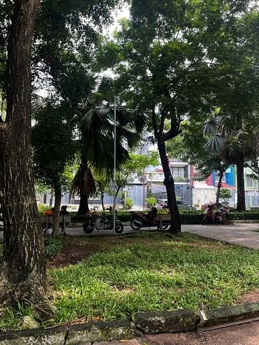 🌳 TIN ĐĂNG HOT : NHÀ PHỐ 3 TẦNG LỐI SỐNG XANH - ĐỐI DIỆN 2 CÔNG VIÊN 