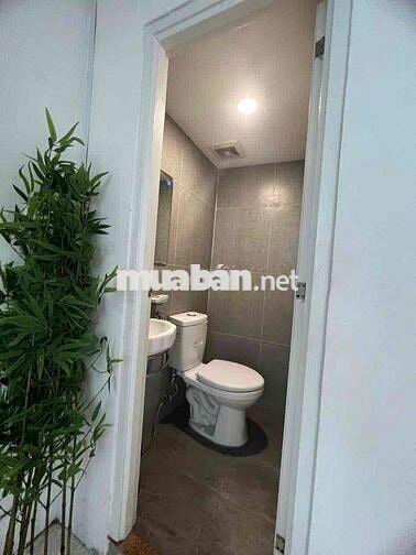 cho thuê nhà nguyên căn mặt tiền đường Nguyễn Thượng Hiền p5 , PN